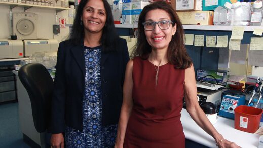 BNY Mellon Extends Funding for COVID-19 Study to NYBC Scientists Cheryl Lobo, PhD & Karina Yazdanbakhsh, PhD