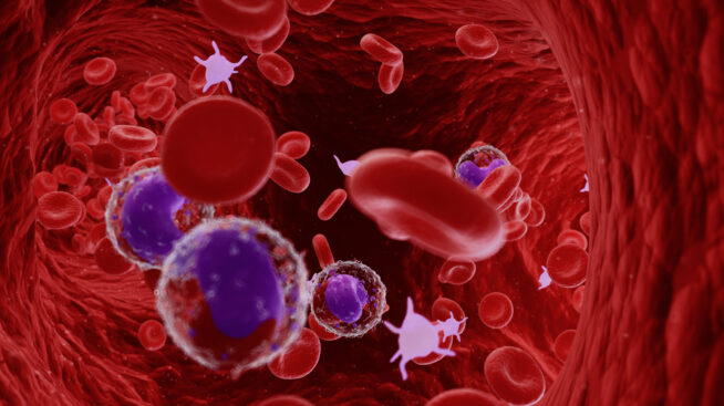 blood cells